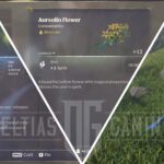 How to Get Aureolin Flower in Enshrouded