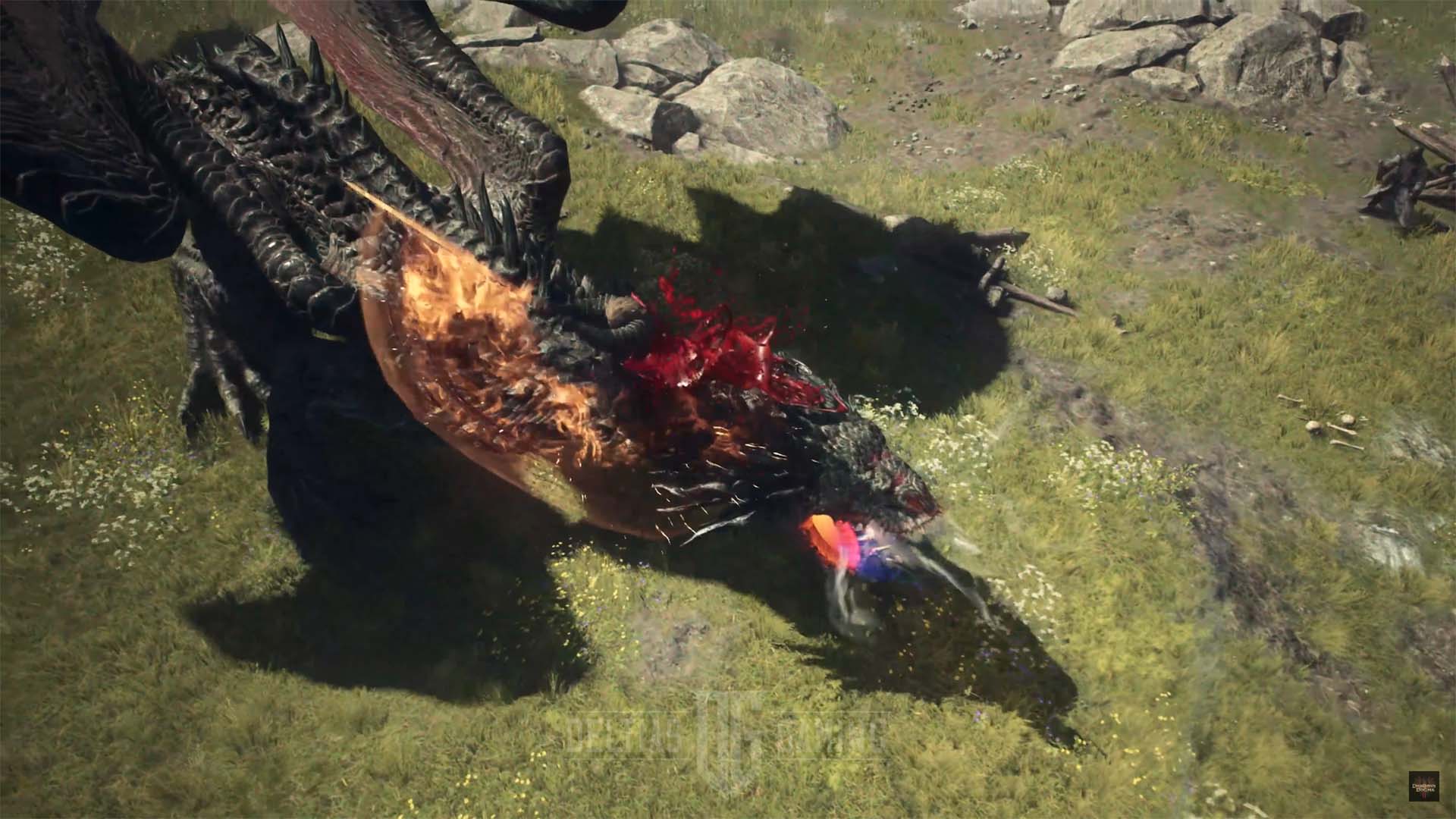 Dragon