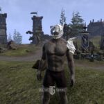 Character Wearing the The Blind Set in ESO - Monster Set Explained with How to Get Instructions