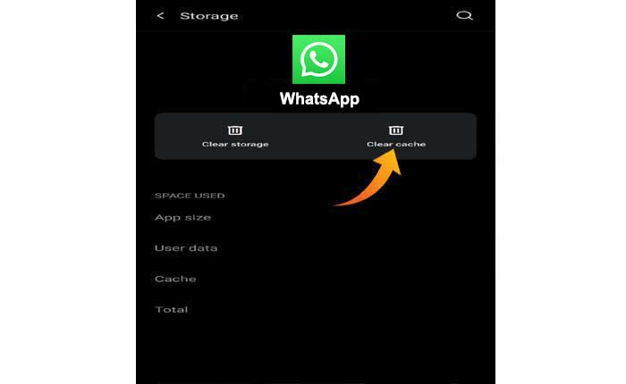 WhatsApp non invia messaggi