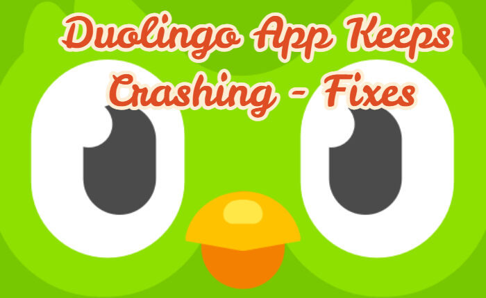 Duolingo App Keeps Crashing Error