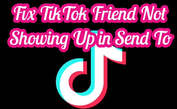 TikTok Friend Not Showing Up in Send To