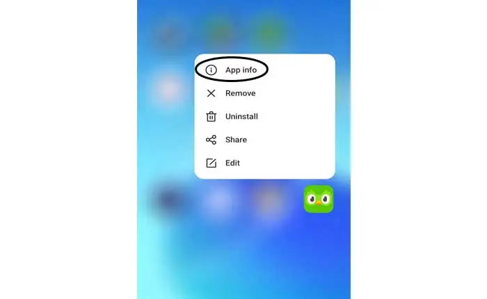 Problema con Duolingo che non riesce ad accedere