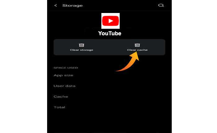 Iscrizioni YouTube non caricate