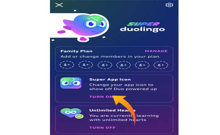 Cambia l'icona dell'app Duolingo 