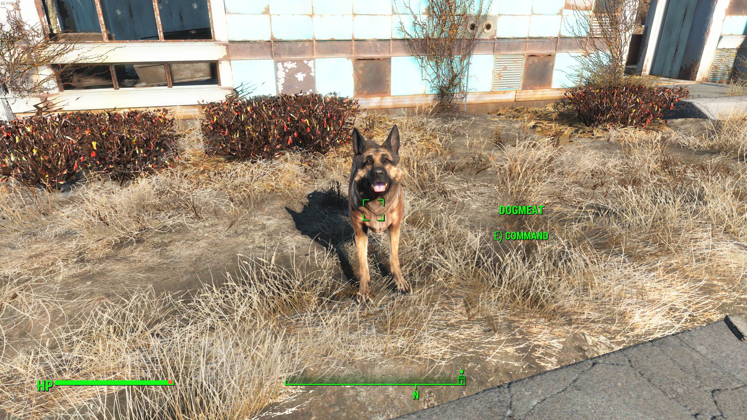 Compagno di Fallout 4 Dogmeat