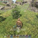 How to Get Purple Berries in Enshrouded