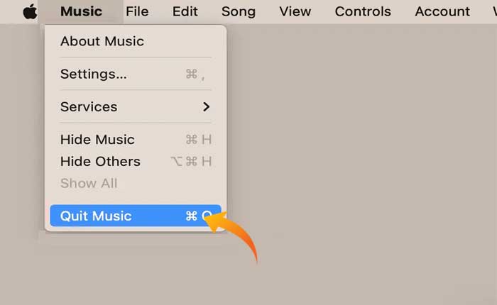 I testi di Apple Music non vengono visualizzati