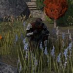 How to Get the Shadow Queen