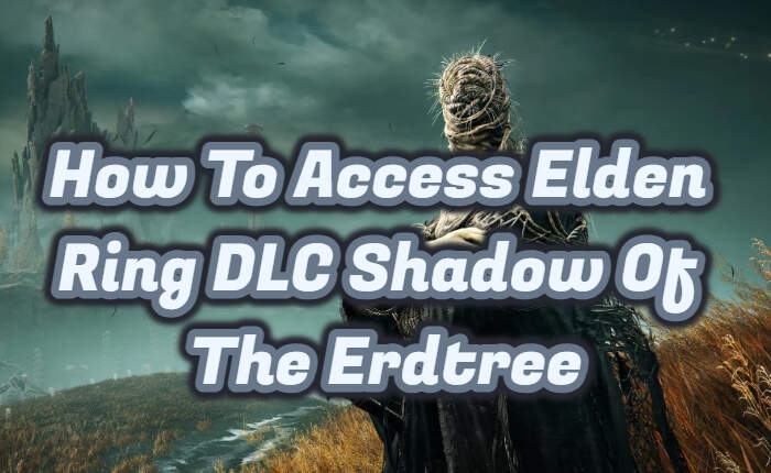 Access Elden Ring DLC Shadow Of The Erdtree