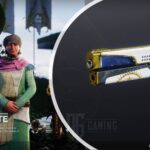 Destiny 2 Something New God Roll and How to Get
