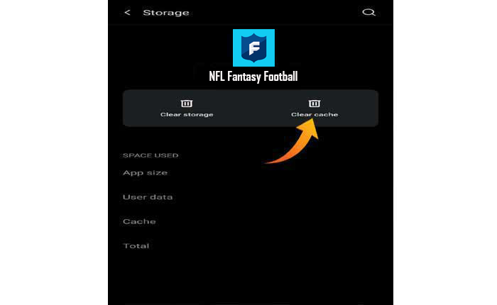 L'app NFL Fantasy non mostra i punti