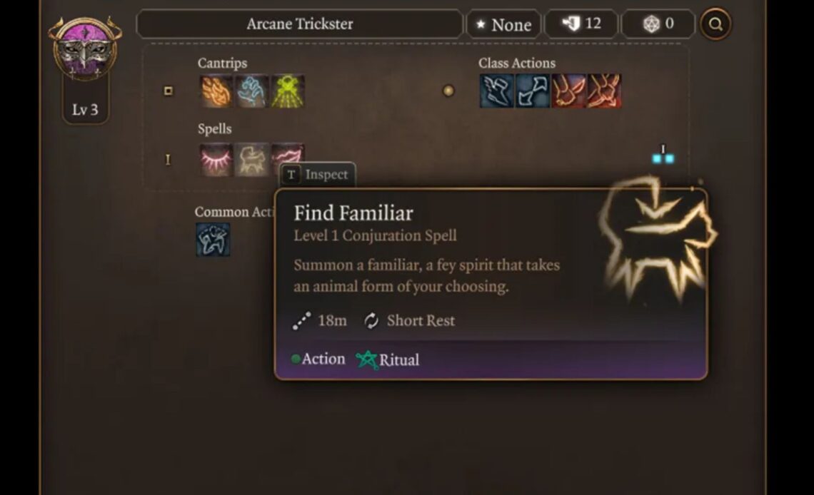 Find Familiar is a Level 1 conjuration spell (Source: Larian Studios)