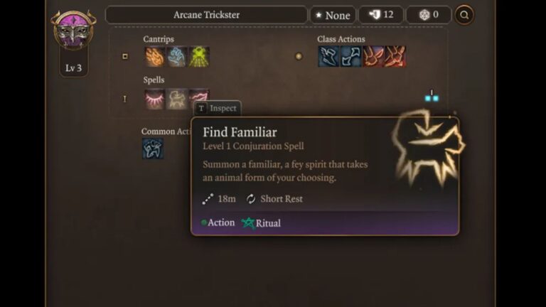 Find Familiar is a Level 1 conjuration spell (Source: Larian Studios)