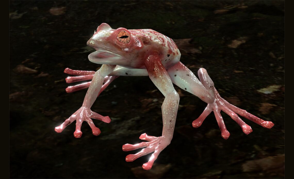 The Addled Frog (Source: Larian Studios)