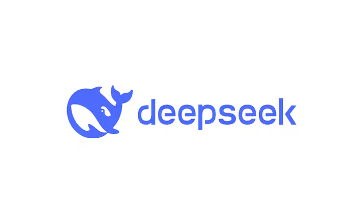 Codice di verifica AI di DeepSeek non ricevendo