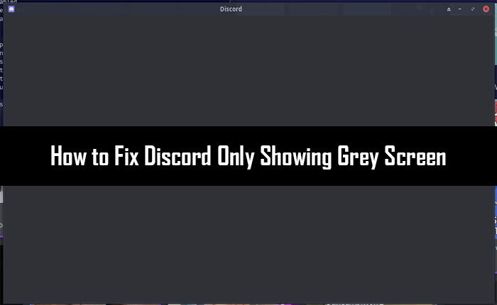 Discord mostra solo lo schermo grigio