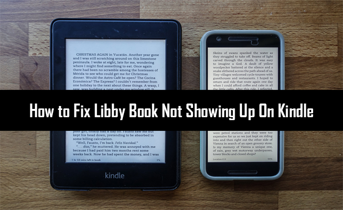 Libby Book Not Showing Up On Kindle