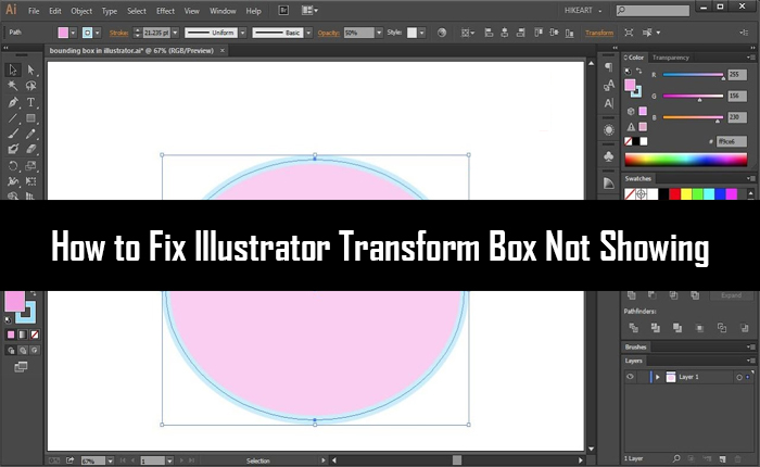 Illustrator Transform Box Not Showing