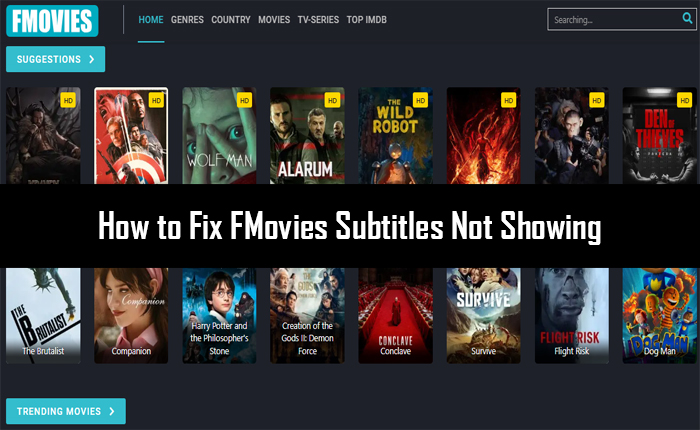 FMovies Subtitles Not Showing