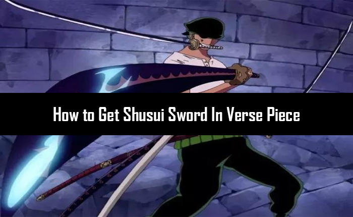 Get Shusui Sword In Verse Piece