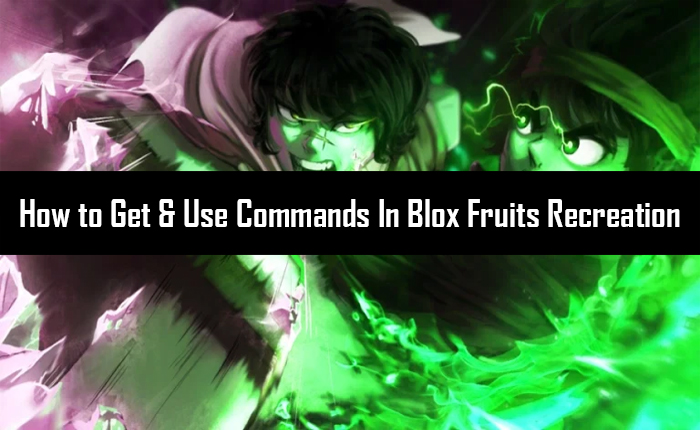 Get & Use Commands In Blox Fruits Recreation