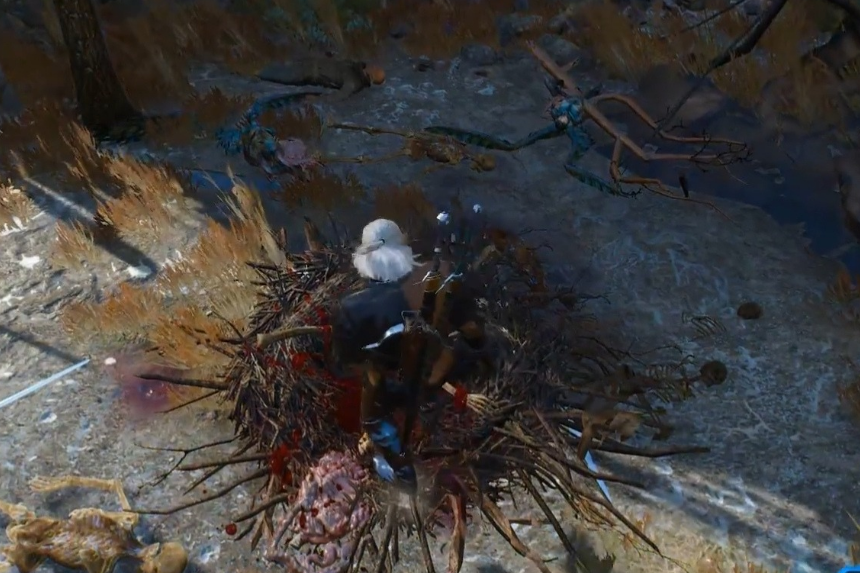Tutte le posizioni dei nidi dei mostri in The Witcher 3 Wild Hunt