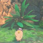All Poogies Location in Narrow Passage - Monster Hunter Stories 3