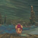 All Poogies Location in Muddled Marsh - Monster Hunter Stories 3
