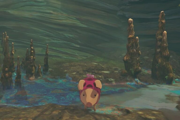 All Poogies Location in Muddled Marsh - Monster Hunter Stories 3
