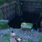 Timberdale Gorge Ruins Ancient Ruins Puzzle - Crimson Desert