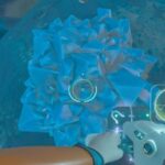 Come ottenere Celestine in Subnautica 2