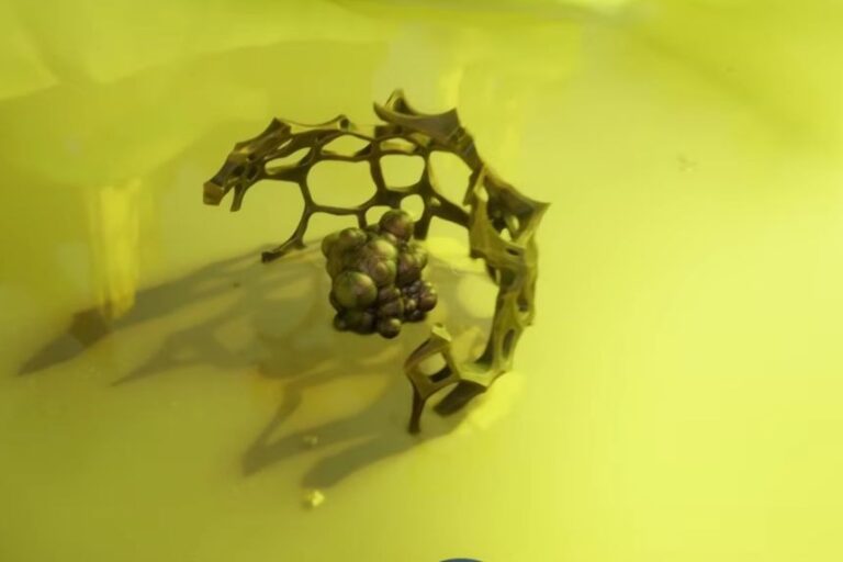 Come ottenere la coltura batterica di Axum in Subnautica 2