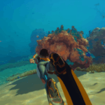 Come sbloccare Wakemaker in Subnautica 2