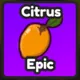 Semina Citrus (Epic)