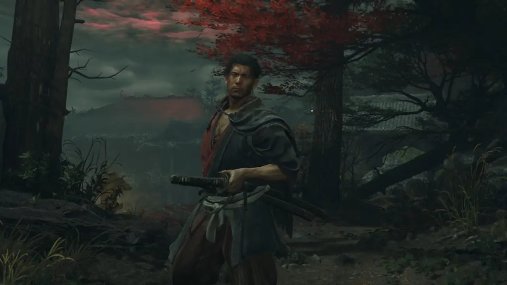 Miyamoto Musashi in posa dinamica