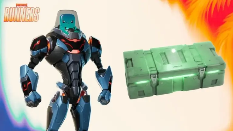 Fortnite Stealth Case