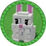 Medaglia First Pet – primo animale domestico