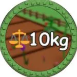 Medaglia 10kg Fruit – frutto da 10 kg
