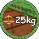 Medaglia 25kg Fruit – frutto da 25 kg