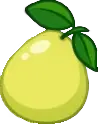 Pomelo