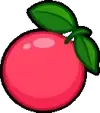 Grapefruit