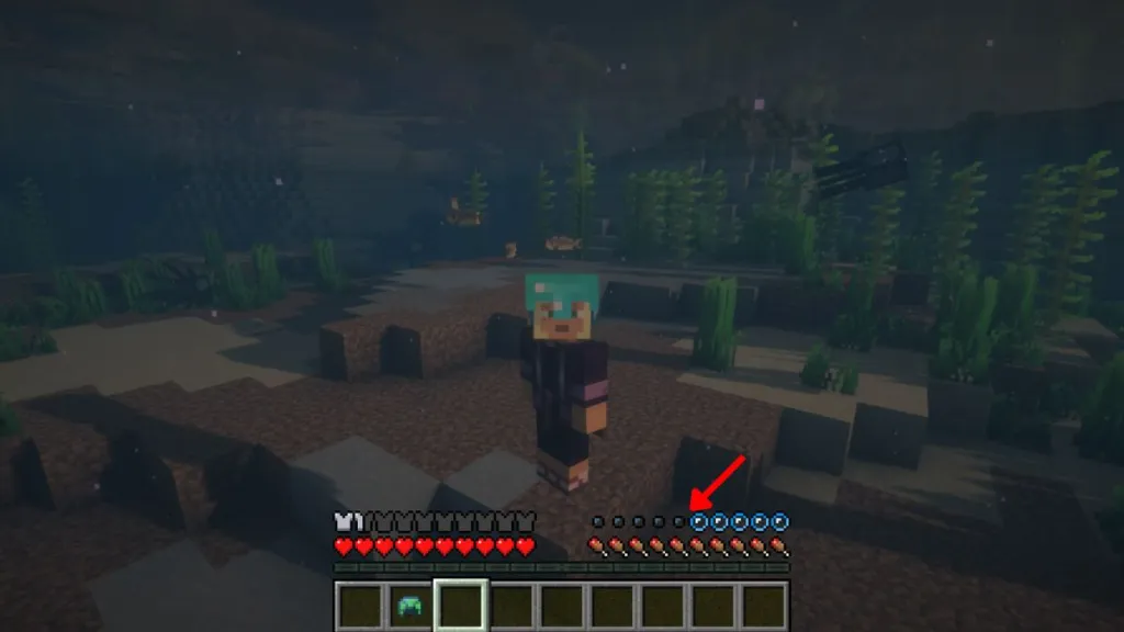 Funzionamento dell'incantesimo Respiration in Minecraft