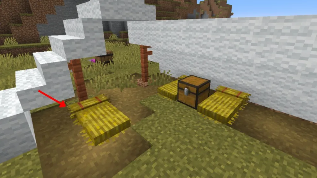 Letti di paglia generati nei campi abbandonati di Minecraft