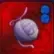 Webbed Fruit – equipaggiamento per String Demon