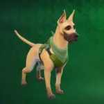 Dane Sidekick In Fortnite