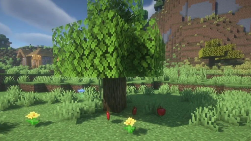 Mele da alberi di quercia