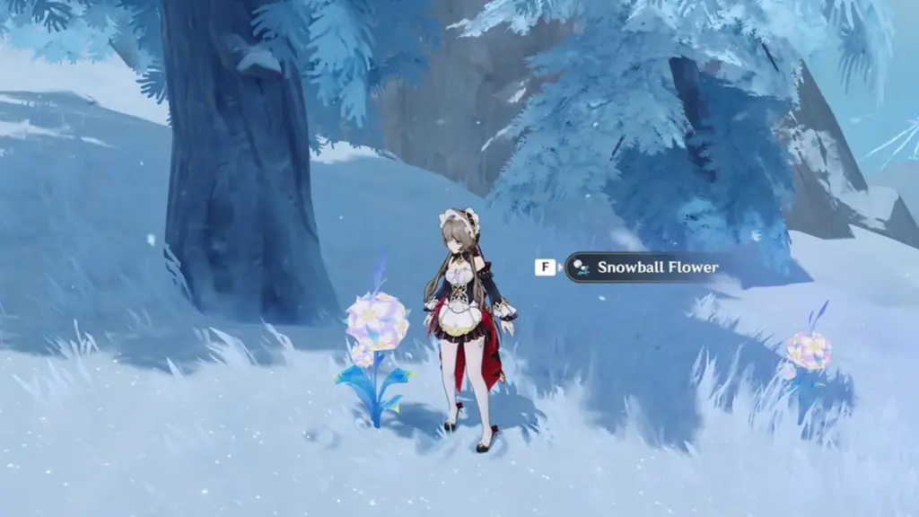 Genshin Impact Snowball Flower Locations and Farm Route