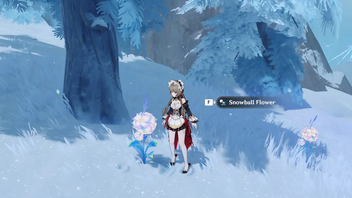 Genshin Impact Snowball Flower Locations and Farm Route